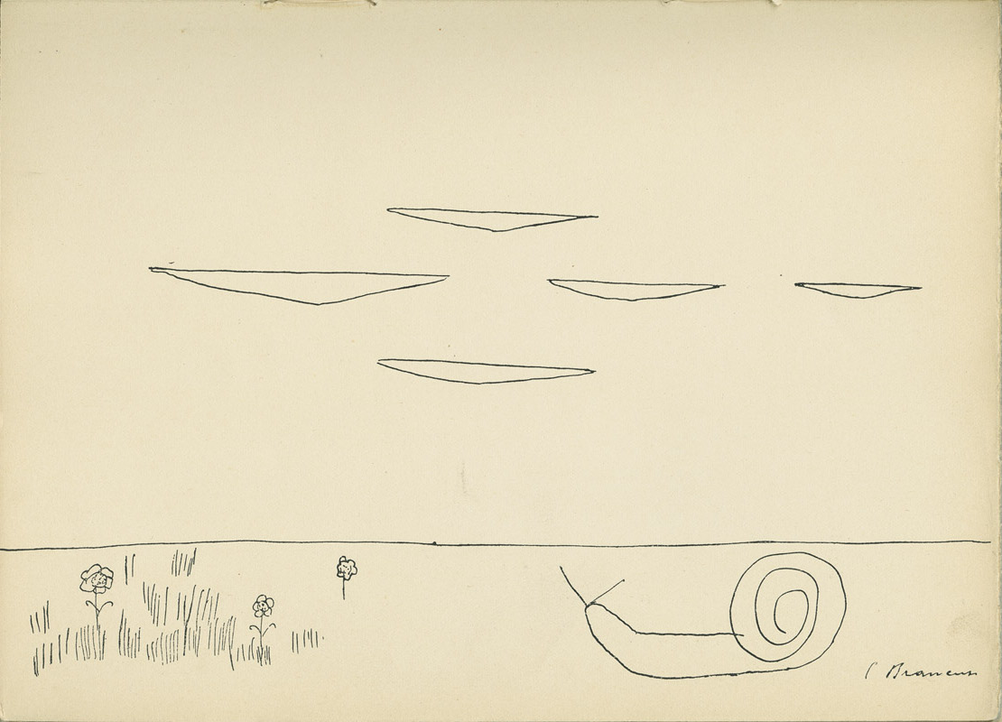 Voronca_PlanteBrancusi_800.jpg